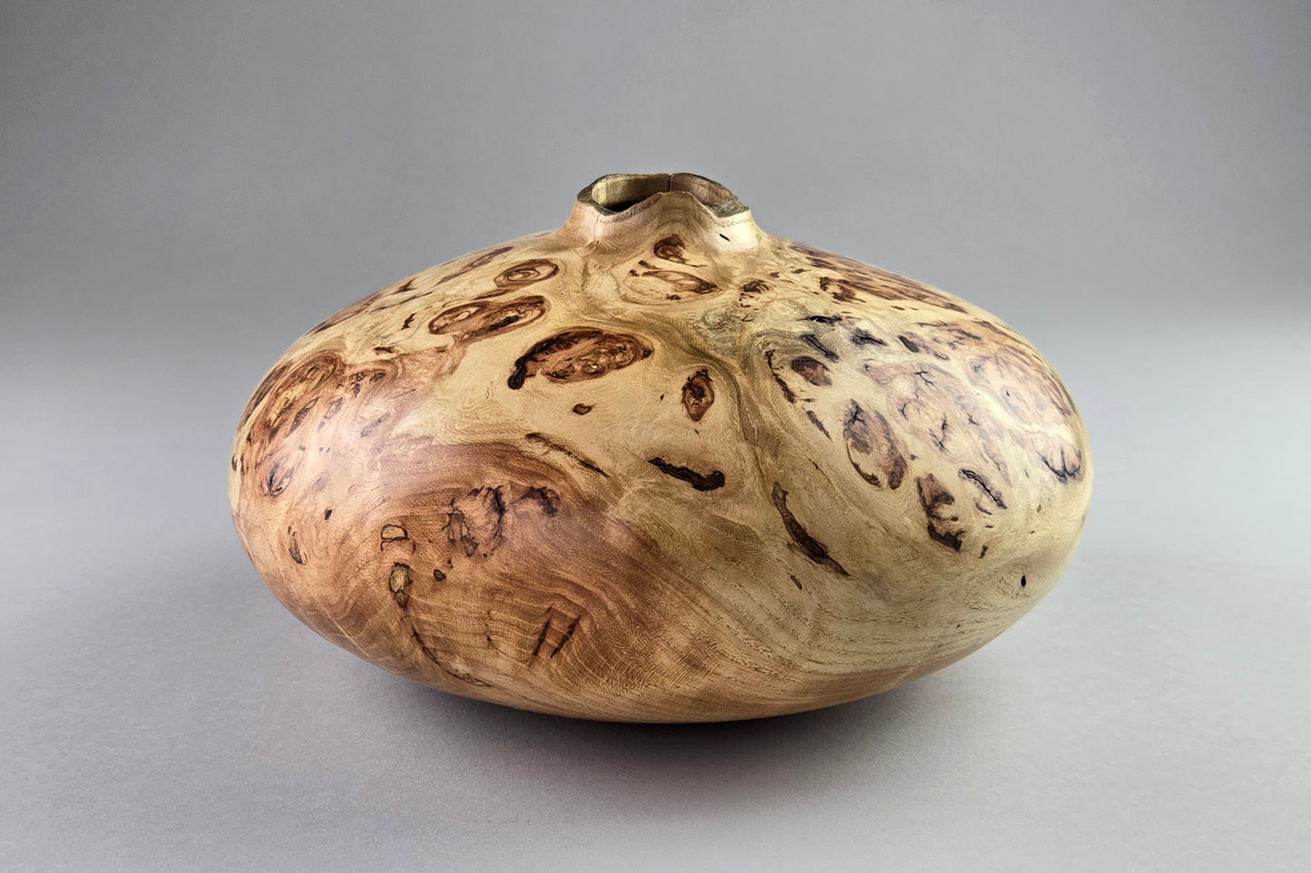 Locust Burl Hollow Form