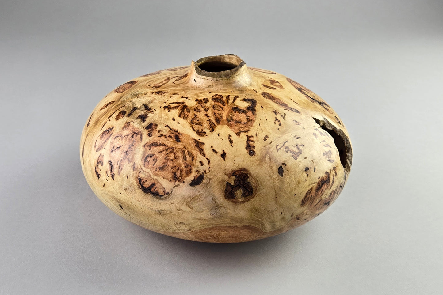 Locust Burl Hollow Form