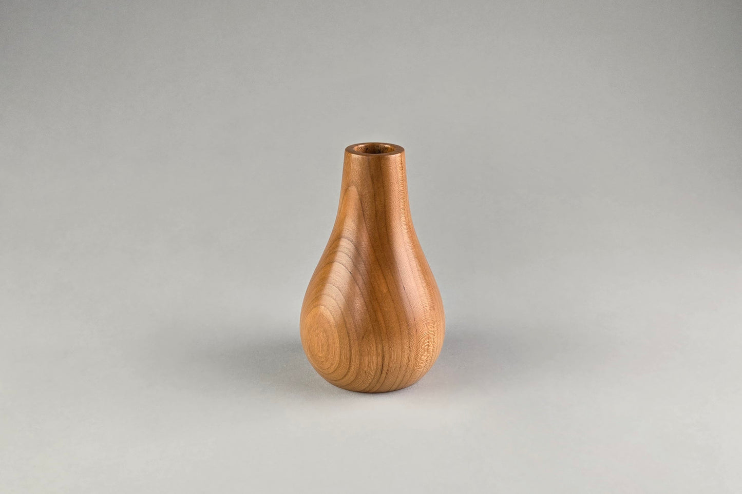 Cherry Dry Vase