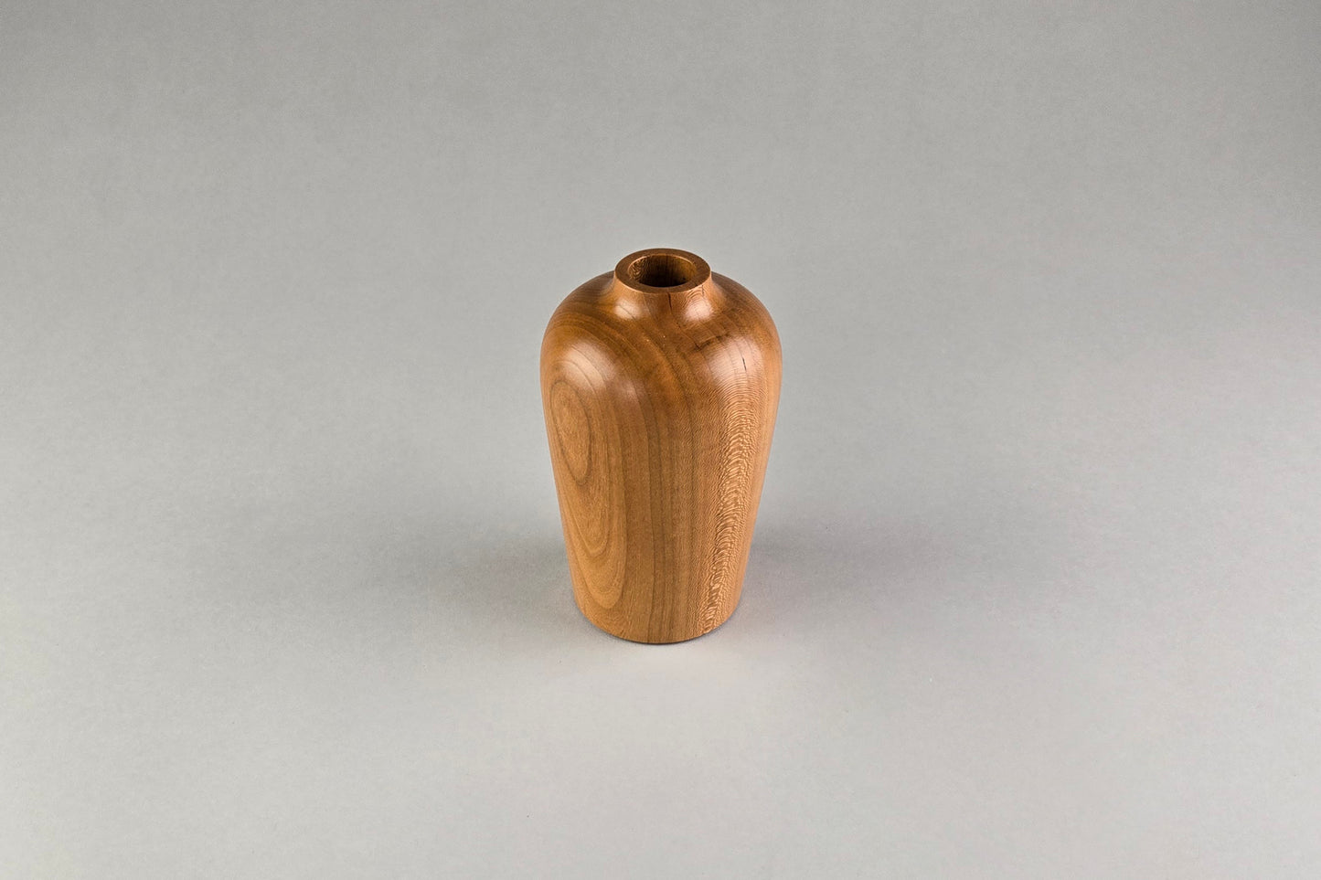 Cherry Dry Vase