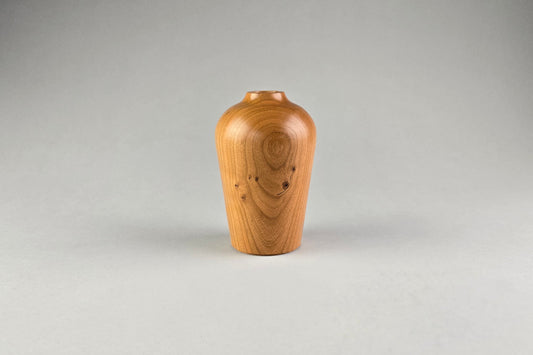 Cherry Dry Vase